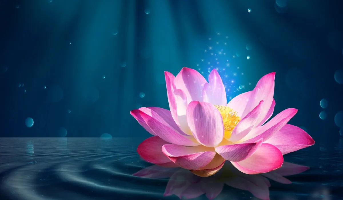 dream_1729791333494.webp