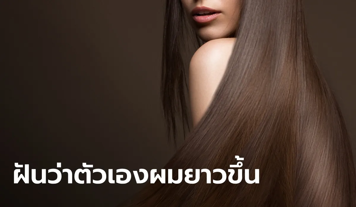 dream_1734587738462.webp