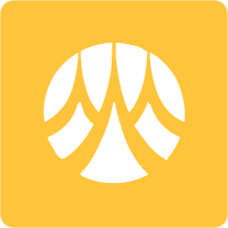 Icon 5