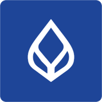 Icon 3