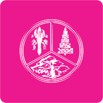 Icon 7