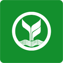 Icon 1